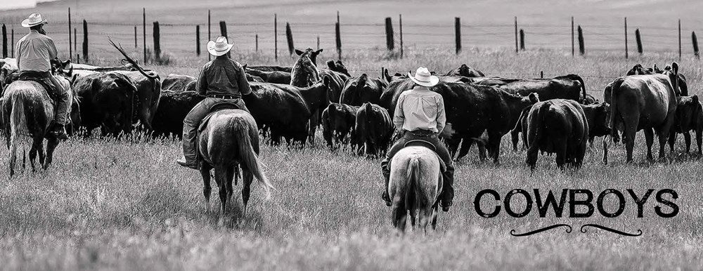 Cowboys and Rodeos Hardcover Book