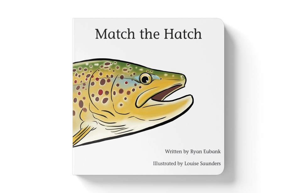 Match the Hatch Children's Book