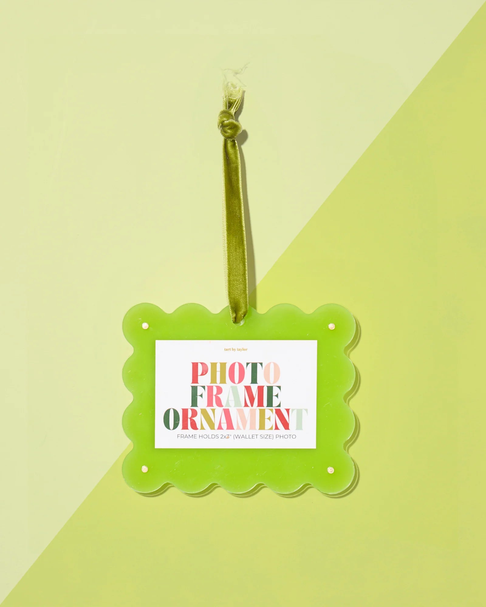 Mini Frame Ornament - Kiwi